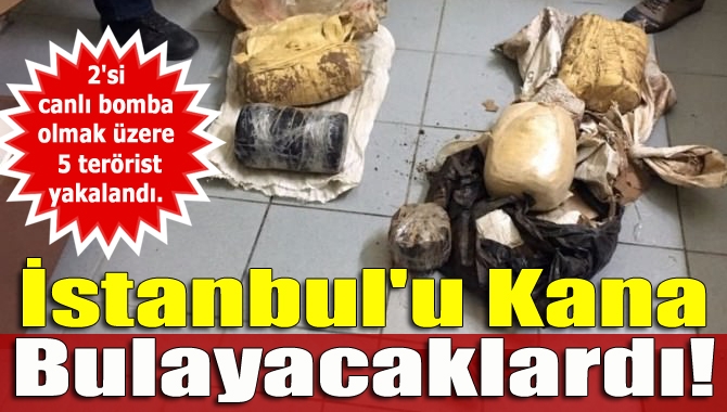 Şanlıurfa'nın Ceylanpınar ilçesinde sınırı yasa dışı yollarla geçen 2'si canlı
