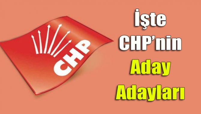 24 Haziran seçimleri için milletvekilliği aday adaylığı sürecini 30 Nisan’da