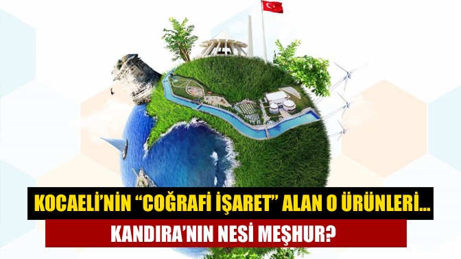 Türkiye'nin tüm coğrafi işaret envanteri artık dijital ortamda görülebiliyor. Peki
