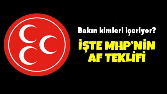 MHP'nin 'af teklifi' belli oldu. Raporu MHP Genel Başkan Yardımcısı