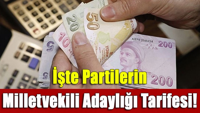 24 Haziran'da yapılacak Milletvekili seçimi öncesi partilerde aday adaylığı için