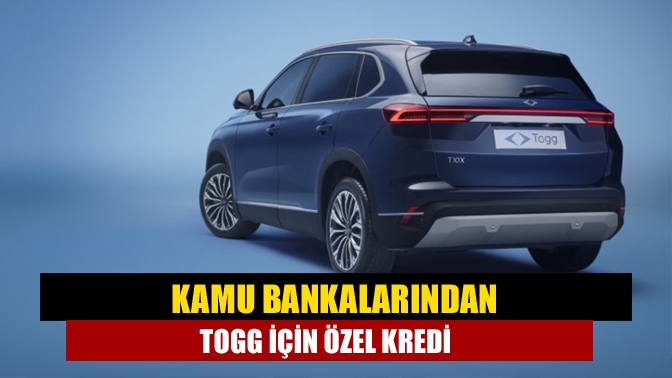 Cumhurbaşkanı Recep Tayyip Erdoğan, kamu bankalarının yerli otomobil Togg için