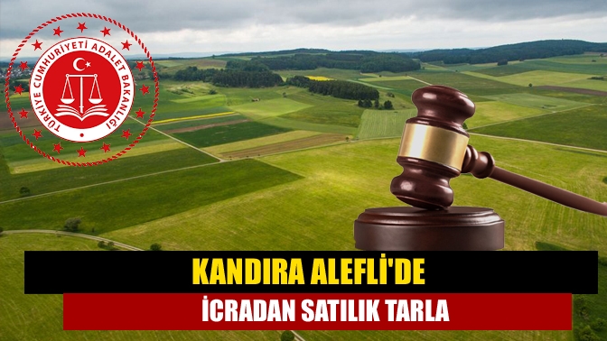 Kandıra Alefli Köyü, Öteyüz Mevkinde yer alan 104 ada, 126