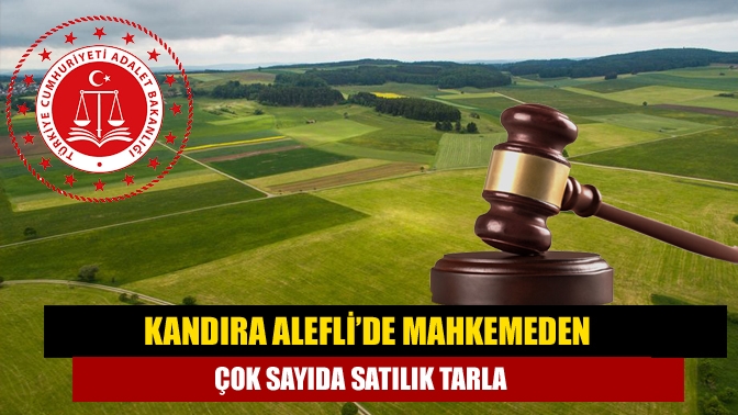 Kandıra İcra Dairesi Kandıra Alefli Köyü'nde çok sayıda tarla Mahkemeden