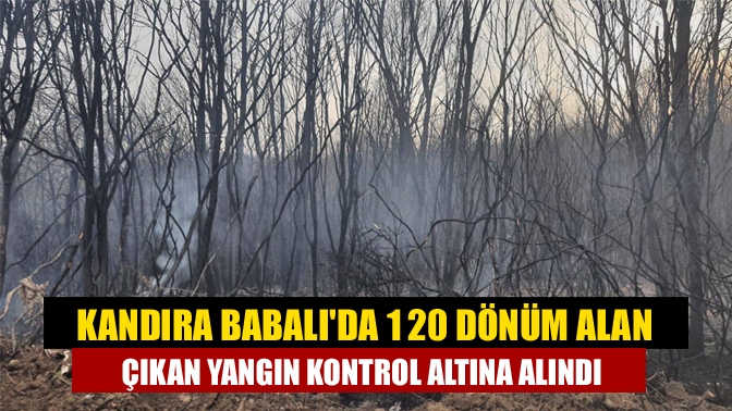 Kandıra Babalı Mahallesi’nde bugün öğle saatlerinde otluk alanda yangın çıktı.