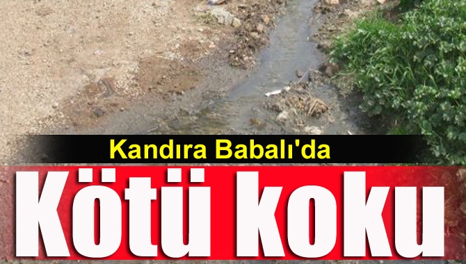 Kandıra Babalı Tuzağzı mevkiinde oturanlar bu yaz büyük sıkıntı çektiklerini