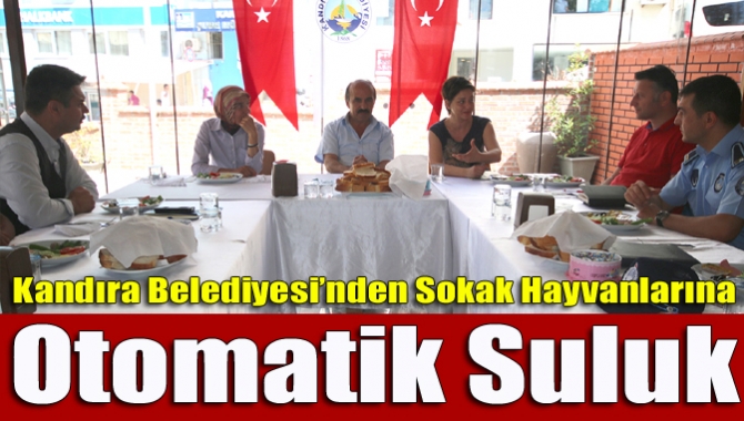 Kandıra Belediyesi tarafından su bulmakta zorlanan sokak hayvanları için parklara