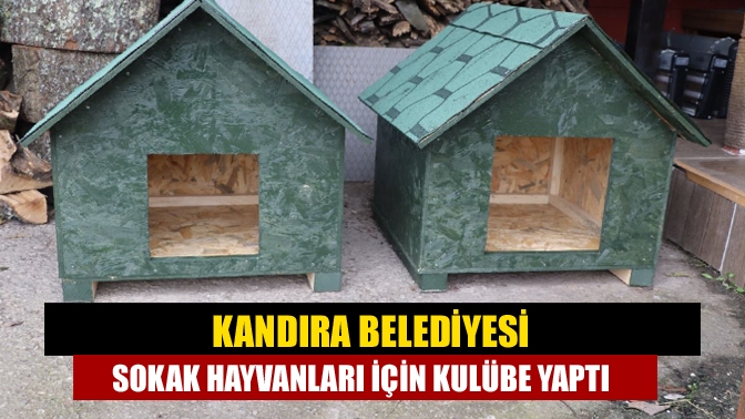 Kandıra Belediyesi, evlerinin önünde sokak hayvanlarını besleyen vatandaşların talebi üzerine,