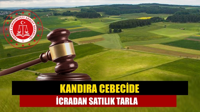 Kandıra Cebeci Mahallesinde 324 metrekare arsa 227 bin 206 TL