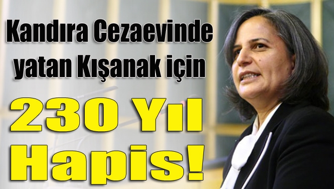 Kandıra Cezaevinde yatmakta olan Diyarbakır Büyükşehir Belediyesi Eş Başkanı Gültan