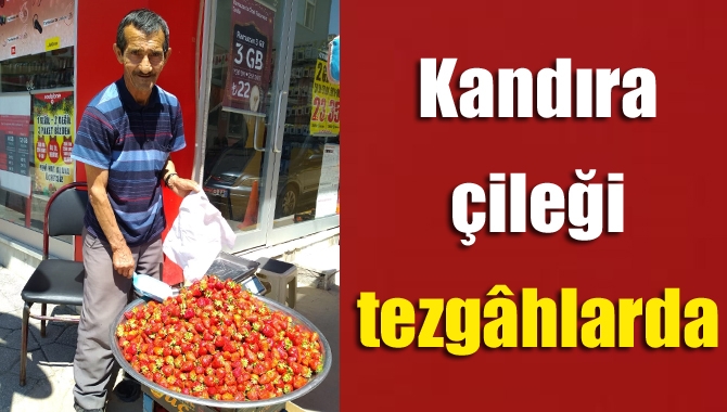 Kandıra Pazarı’nda tezgâhları süslemeye başlayan köy çileğinin tadına doyum olmuyor.