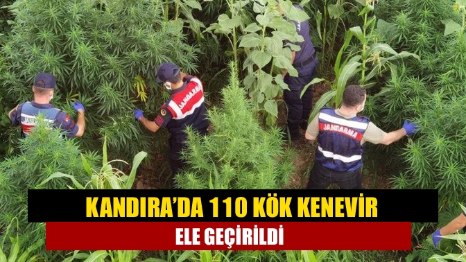 Kocaeli İl Jandarma Komutanlığına bağlı ekipler tarafından, Kandıra’da yapılan operasyonda