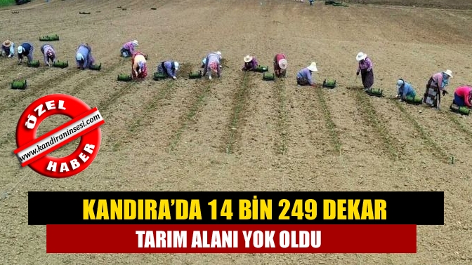 Kandıra’da bir yılda 14 bin 249 dekar büyüklüğündeki tarım alanı