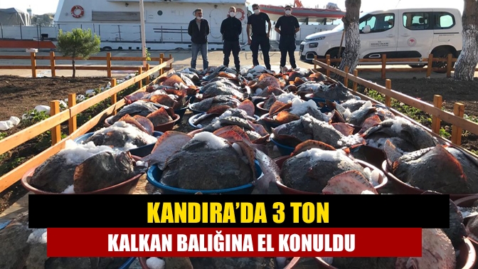 Kandıra Bağırganlı Balıkçı Barınağında yapılan kontrolde yasak zamanda avlanılan 1008