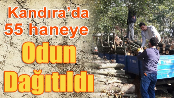 Kandıra Orman İşletme Şefliği Alefli-Sarıgazi mahallelerinde 55 haneye zati ihtiyaç