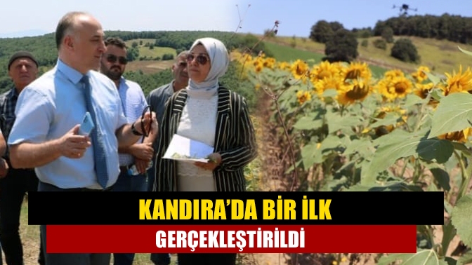 Ayçiçeği Çayır Tırtılı zararlısıyla ilgili Kandıra Kaymaz Erikli-Araman Mahallelerinde Kocaeli