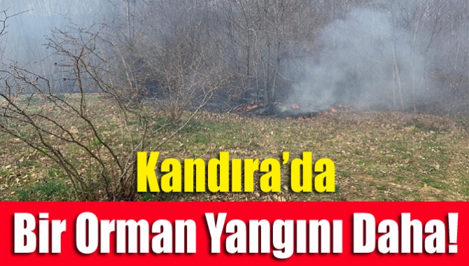 Kandıra’nın Bollu Mahallesi’nde fındık bahçelerinin temizlenmesi sırasında meydana gelen yangında
