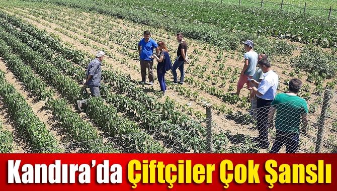 Büyükşehir Belediyesi, Kandıra Gıda İhtisas Organize Sanayi’sinin hammadde ihtiyacını karşılamak
