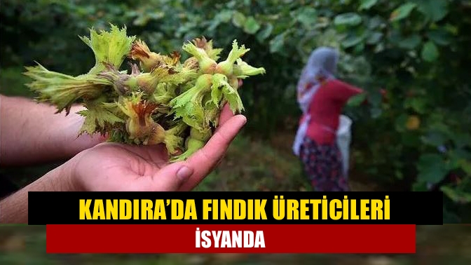 Kandıra’nın Gençali Köyü’nden bizlere ulaşan Bayram isimli bir üretici şunları