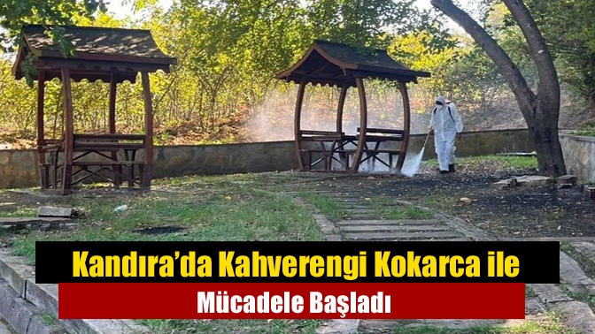 Kandıra’da tarım ürünlerine zarar veren kahverengi kokarca böceğiyle mücadele çalışmaları
