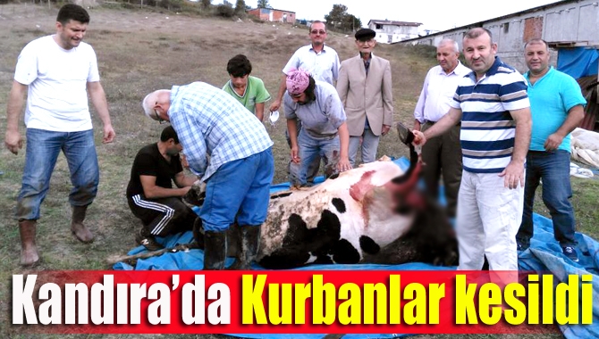 Kandıralı vatandaşlar, bayram namazının ardından belediyenin belirlediği alanlarda kurbanlarını kesti.