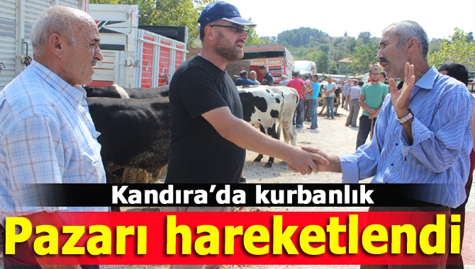 Kurban Bayramı’na sayılı günler kala Kandıra’da kurulan kurbanlık pazarında hareketlilik