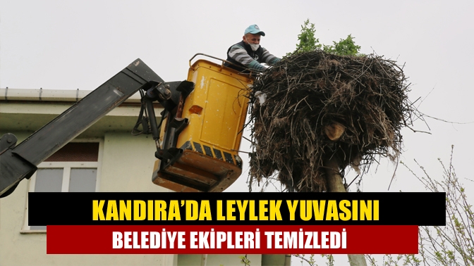 Kandıra Ocaklar Mahallesinde otlar nedeniyle leyleklerin yerleşemediği yuvayı belediye ekipleri