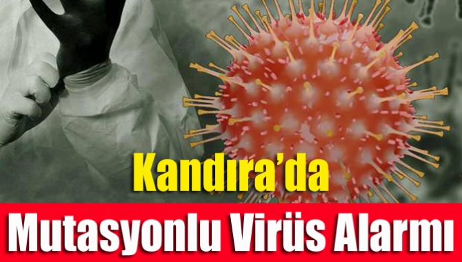 Kandıra Çerçili köyüne İstanbul'dan gelen iki kişi, mutasyonlu virüs olan