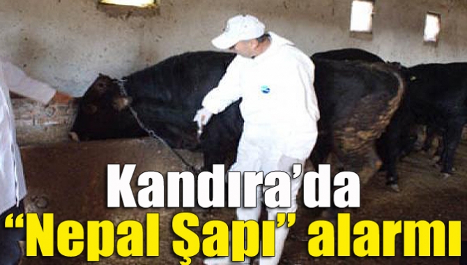 Kandıra İlçe Gıda, Tarım ve Hayvancılık Müdürlüğü, Türkiye genelinde görülen