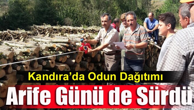 Kandıra Orman İşletme, halkın odun ihtiyacını karşılamak için arife günü