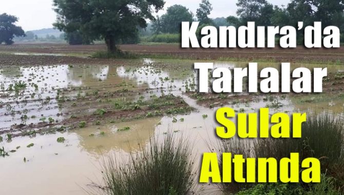 Kandıra’da etkili olan sağanak yağış kısa zamanda sele dönüştü. Özellikle