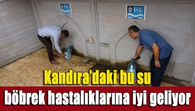 Büyükşehir özellikle böbrek hastalıklarına iyi gelen Kandıra Erikli Köyü Belen
