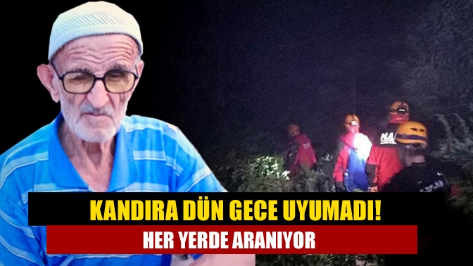 Kandıra Ağaçağıl köyünde fındıklığına gitmek üzere yola koyulan 77 yaşındaki