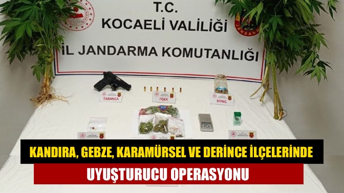 Kocaeli’de 4 ilçede düzenlenen operasyon sonucu 80 gram skunk, 446