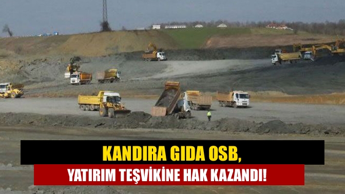 Sanayi ve Teknoloji Bakanlığı, Kocaeli’deki ilçe bazlı ilk yatırım teşvikini