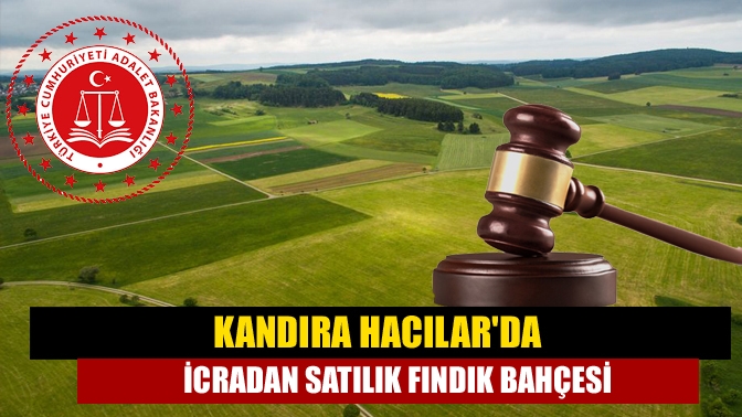 Kandıra Hacılar Köyü, Salmanlı Mevkinde yer alan fındık bahçesi icradan