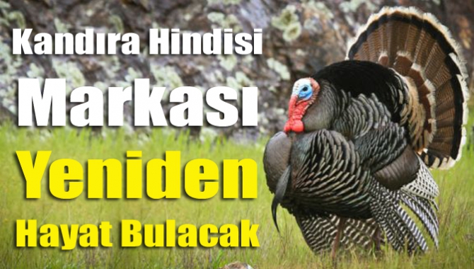 Unutulmaya yüz tutan değerleri kente kazandıran Kocaeli Büyükşehir Belediyesi, Kandıra