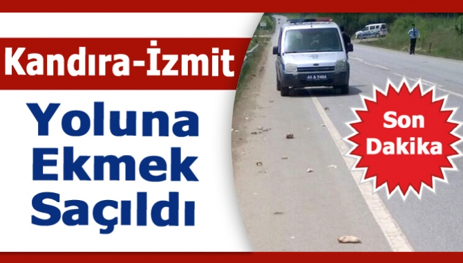 Kandıra-İzmit yolu üzerinde yol kenarlarına atılan ekmek parçaları, Kandıra İlçe