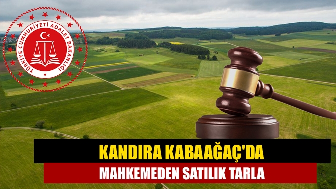 Kandıra Kabaağaç Mahallesinde bulunan bin 702 metrekare tarla icradan satılacak