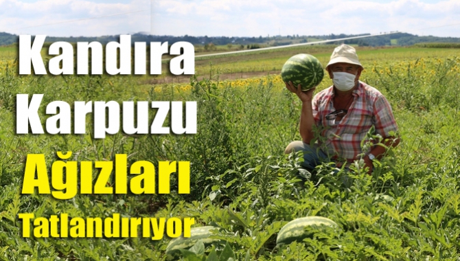 Kabak tadı veren karpuzlardan sıkıldıysanız ağızları sulandıran lezzetin adresi olan