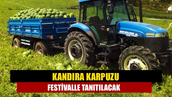 Kandıra Tarım İlçe Müdürlüğü tarafından coğrafi işareti alınan Kandıra karpuzu