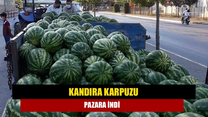 Geçtiğimiz günlerde lezzeti tescillenen meşhur Kandıra karpuzunda hasat yapan üreticiler,