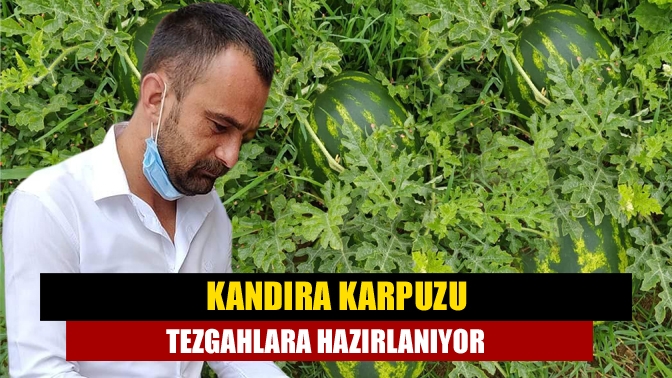 Kıpkırmızı rengi ve eşsiz lezzetiyle ünlü Kandıra karpuzu, tezgahlardaki yerini