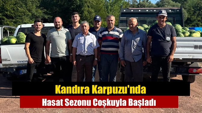 Kandıra Belediyesi’nin serasında yetiştirilen tescilli Kandıra karpuzunda ilk hasat başladı.