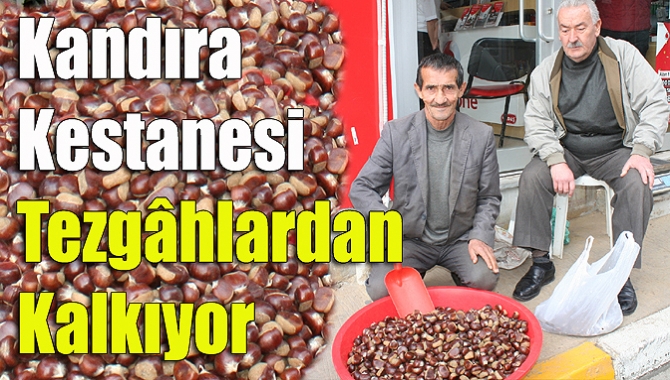 Kandıra köylerinin geçim kaynaklarından biri olan kestane bu yıl bereketiyle