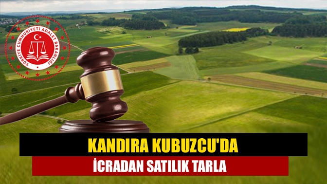 Kandıra İcra Dairesi Kubuzcu Köyünde bulunan 2 bin 110 metrekare