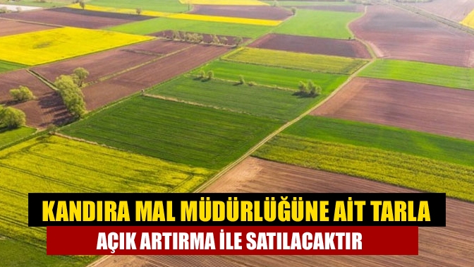 Amme borçlarından dolayı haciz edilerek satışına karar verilen Kandıra Erikli