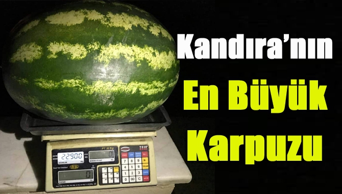 Kocaeli’nin Karadeniz’e açılan kapısı Kandıra tarım ve hayvancılığı ile öne