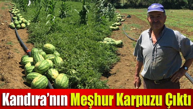 Yazın en serinletici meyvelerinden olan ve lezzetiyle ün kazanan Kandıra