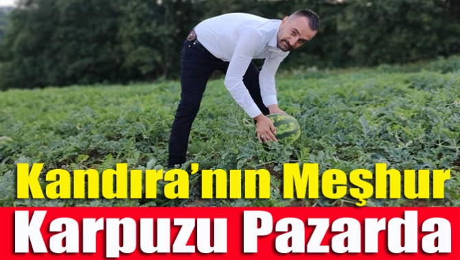 Kandıra'nın Döngelli Mahallesi’nde lezzetiyle ünlü Kandıra kapuzunun hasadına başlandı. Kilogram